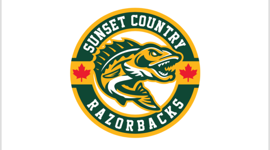 hokcey1 Seven Year-Old Players Wanted For New Spring ‘AAA’ Team