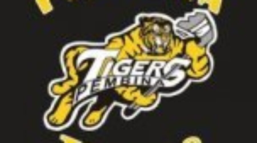 homelogo Eagles and Rams in Manitoba