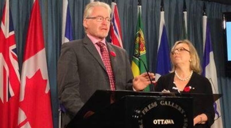 Hyer Defending Green Leader Elizabeth May