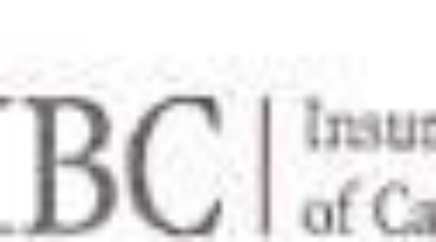 ibclogo Tips To Stay Safe