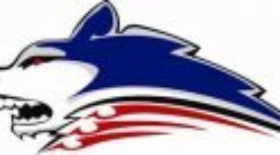 A Close Call For The Dryden Ice Dogs