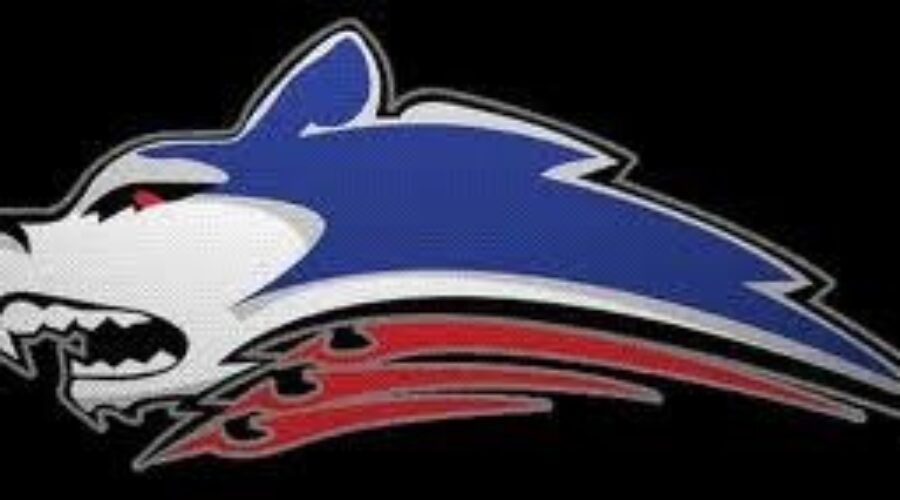 Key Week For Dryden GM Ice Dogs
