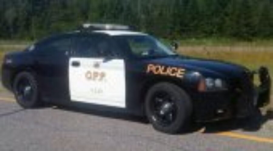 imageopp Hunter Surrounded By Seven Bears In Dryden Area