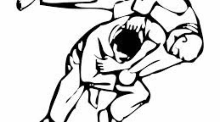 Eight Medals For Dryden Judo Club