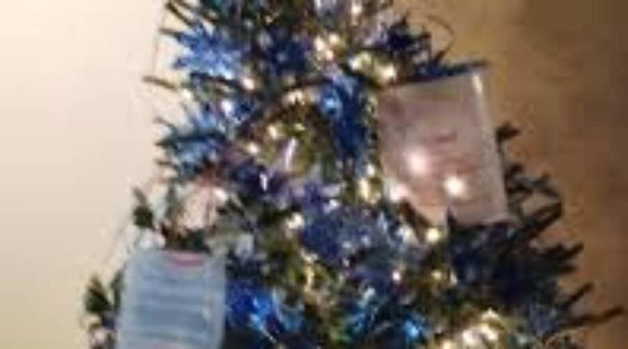 imagesCARBQK7E Festival Of Trees Fast Approaching