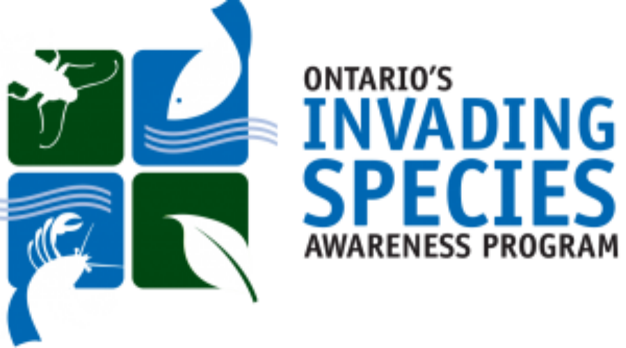 invading_species_logo8032E4-300x174 Warning Issued On Two Invasive Species