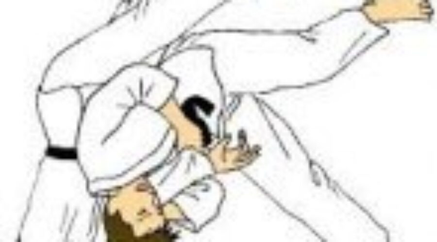 11 Medals For Dryden School Of Judo Club