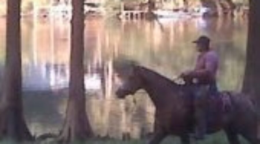 joegye Aussie Cowboy Set To Deliver Motivating Message
