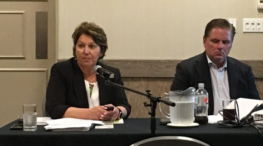 joyce-pelletier-commission Consultations On New Ridings Wrapping Up
