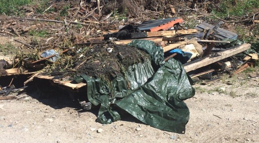 MNR Warning About Dumping Material On Crown Land