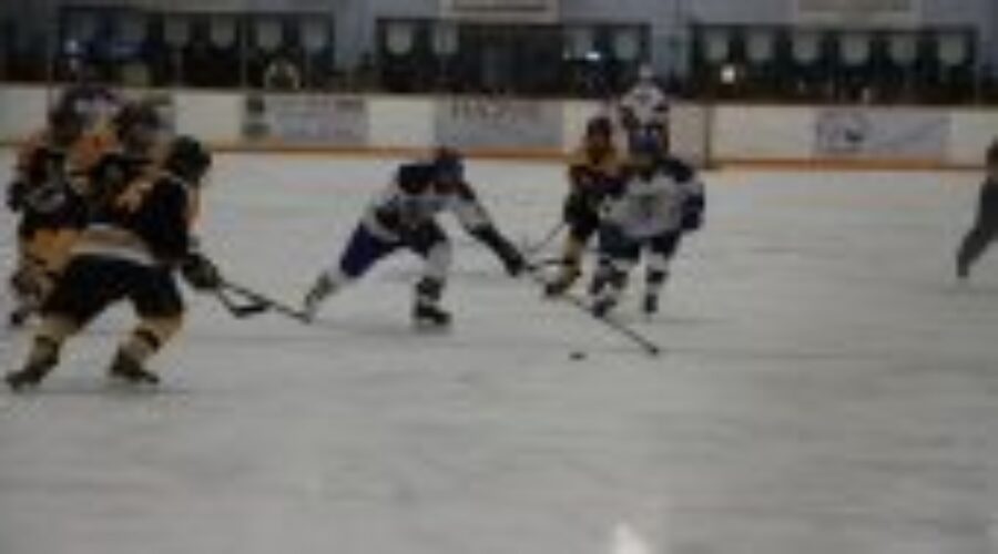 Eagles Fall to Muskies