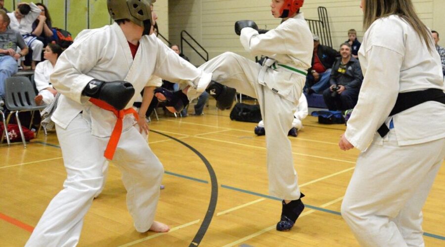 Successful Karate Tournament In Kenora