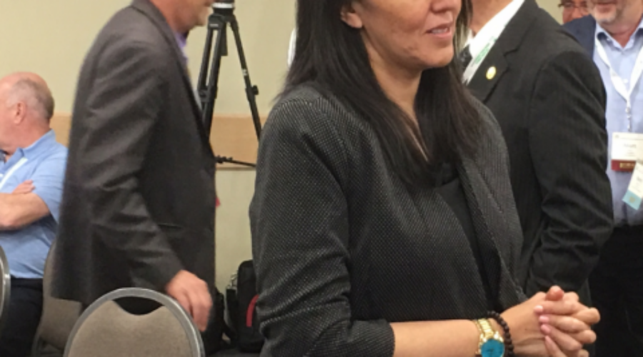 Karen Kejick Named Liberal Candidate In Kenora-Rainy River
