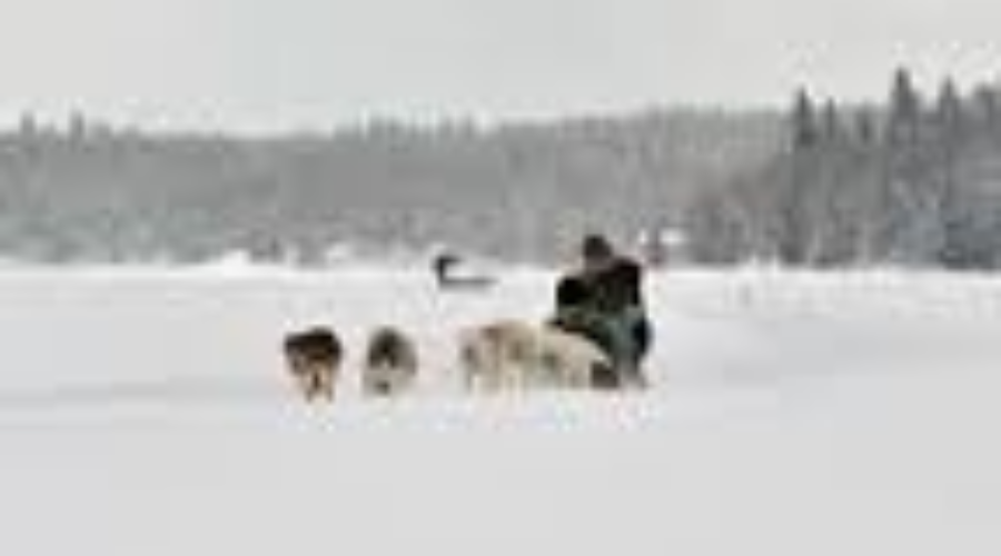 Kin Karnival Begins Today In Vermilion Bay