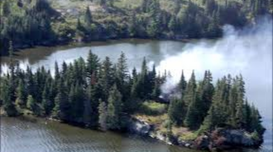 Heavy Rain Puts A Damper On Forest Fire Situation