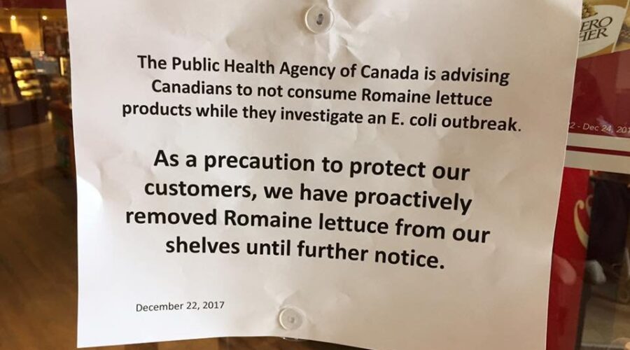 Romaine Lettuce Recalled