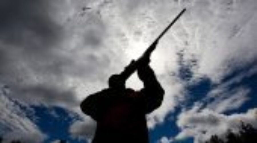 li-gun-registry-9400441 Feds Take Another Step to Abolish Registry