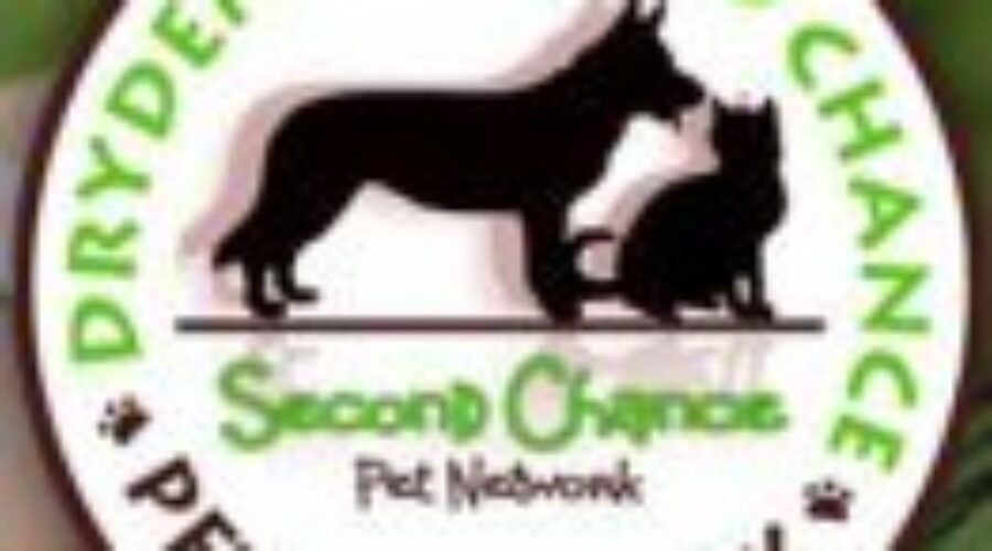 Construction Continues On New Animal Shelter