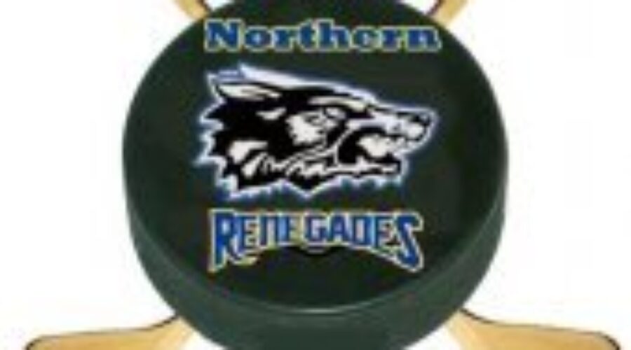 logo2sticklsa_jpg Thunder Bay Takes Two from Renegades
