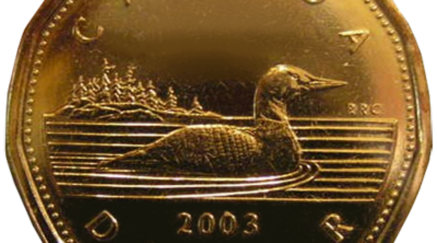 Ontario Finance Minister Calm About Low Canadian Dollar
