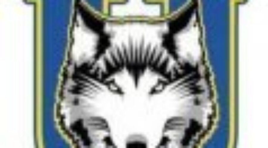 University Wrestling Coming To Dryden
