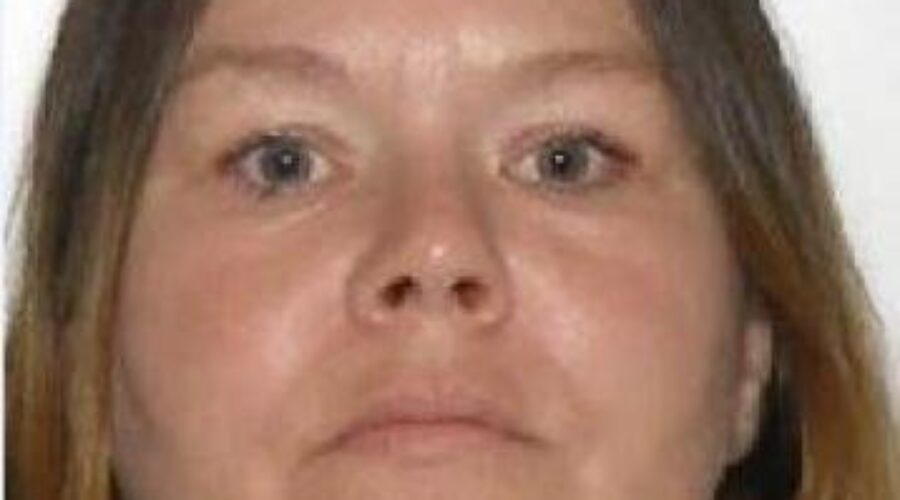 Thunder Bay Woman Charged In Child Abduction Case