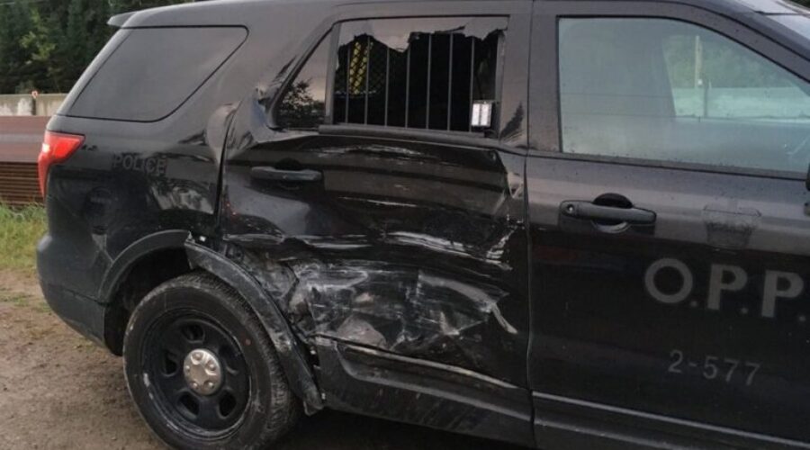 manhunt Manhunt In Wabigoon Ends With One Arrest