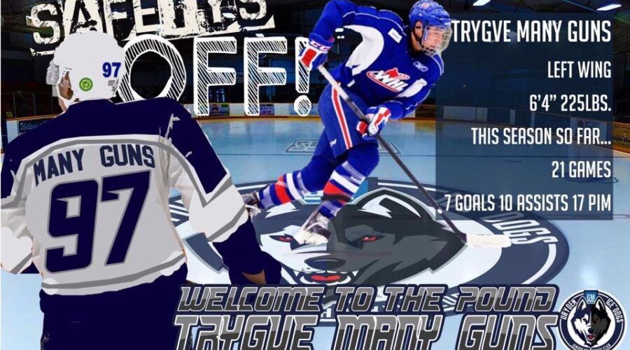 Ice Dogs Make Moves