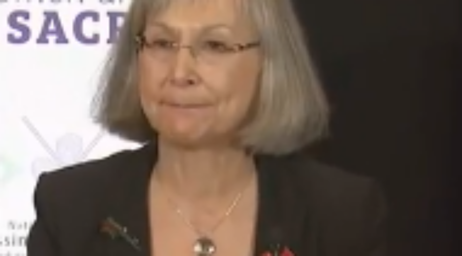 National Inquiry Releases Interim Report