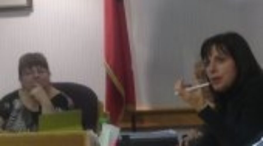 Mary Trist Dryden Council Profile