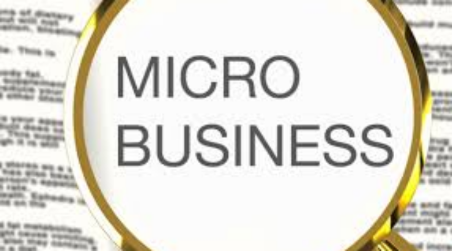 Small Business Survey