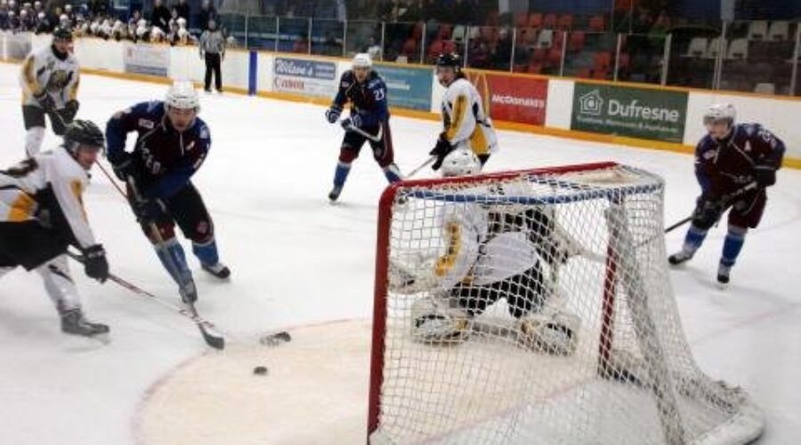 Revenue Sharing Agreement Deal Reached Between City And Ice Dogs
