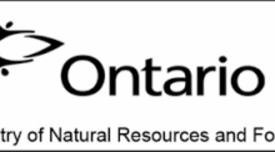 Province Looking At Fish Population On Three Area Lakes
