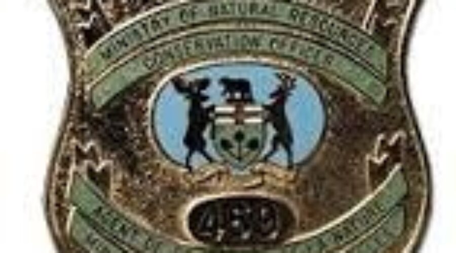 Vermillion Bay Anglers Fined For Illegal Fishing Activity
