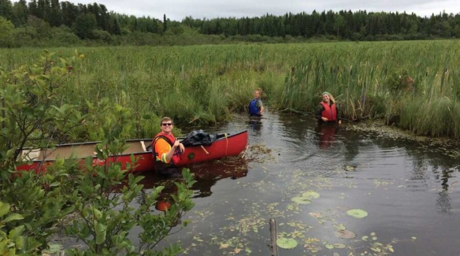 mnr1 Controlling Invasive Species In Dryden