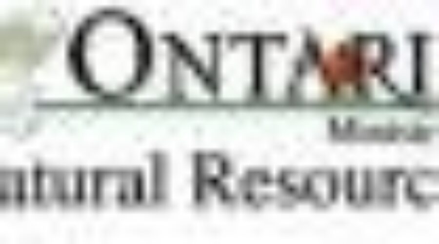 mnr20LOGO_7 American Fined For Hunting Violation