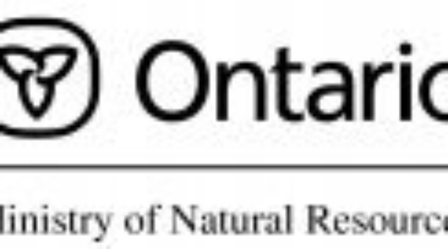 $3,500 in Fines for Two Northwestern Ontario Men