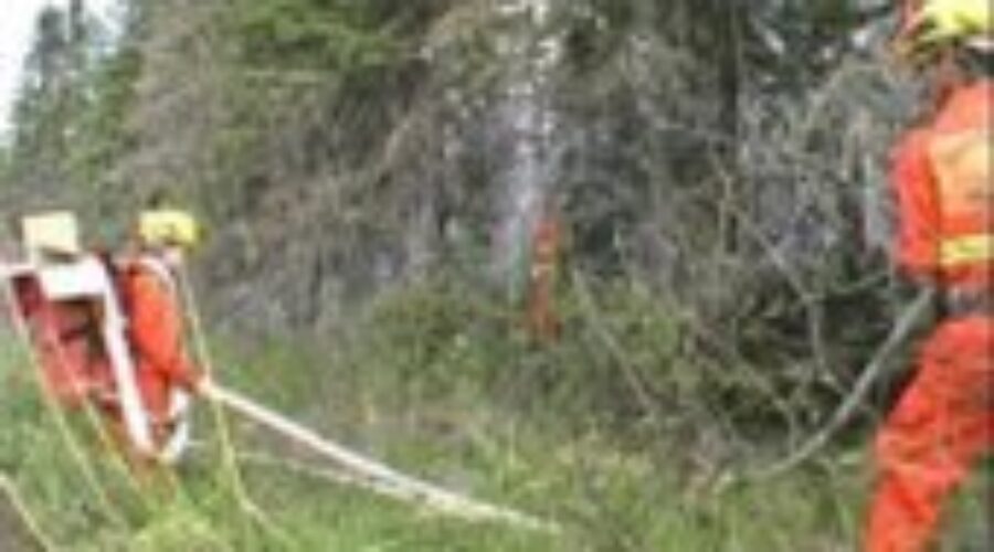 Forest Fire Hazard On The Rise
