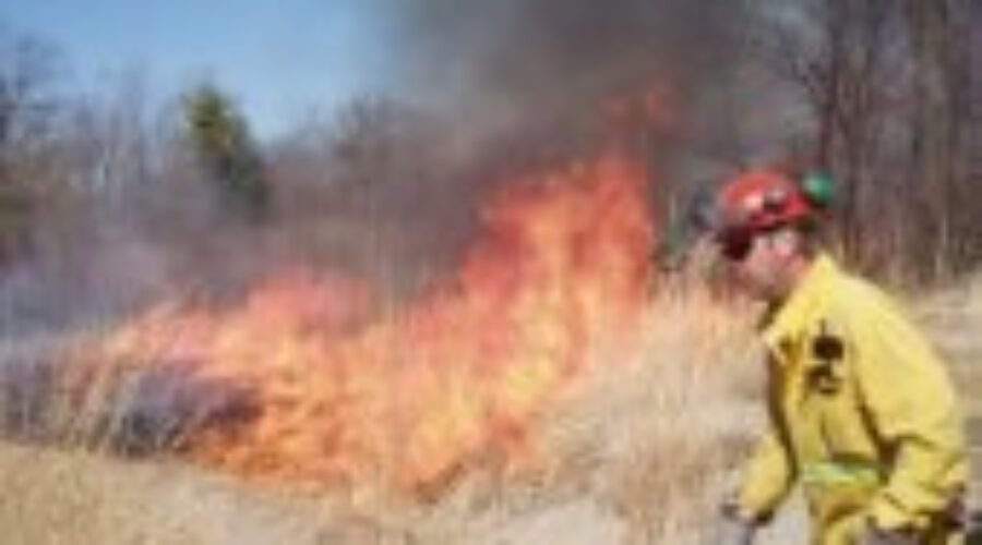 mnr_e002657 Seasonal Firefighters Staying On Longer