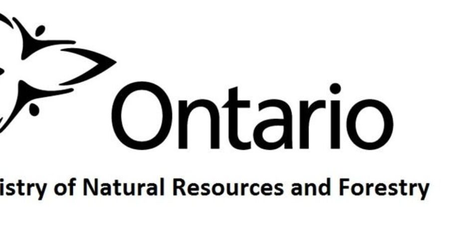 Moose Hunting Fines In Thunder Bay Area