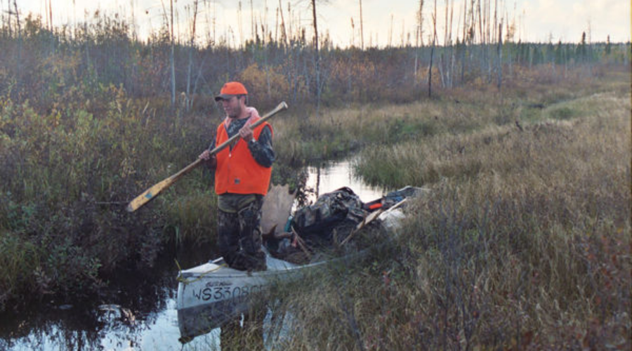Changes To Moose Hunting Rules In Northern Ontario