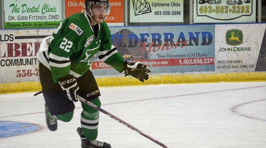 Ice Dogs Add Physical Forward