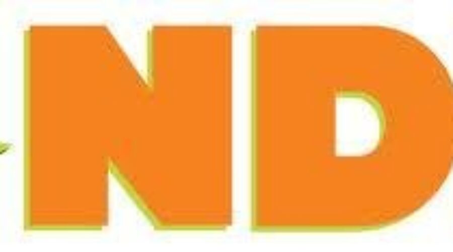 NDP Releases Child Care Plan