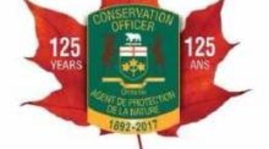 Search Is On for Person Who Abandoned Moose Carcass