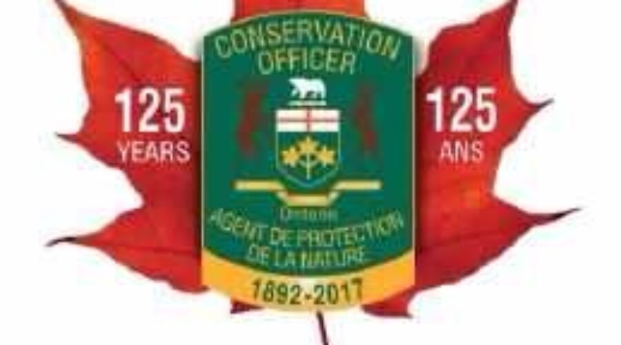 Dryden Area Hunting Trip Results In Hefty Fine
