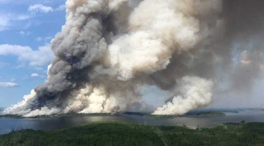 Forest Fire Numbers Surpass 2016 Totals