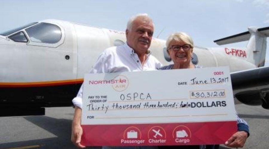 Regional Airline Helps Animals Find A Home