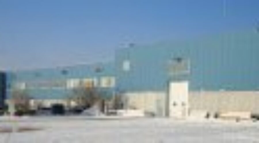 operations_building Pesky Ravens Causing Problems in Kenora