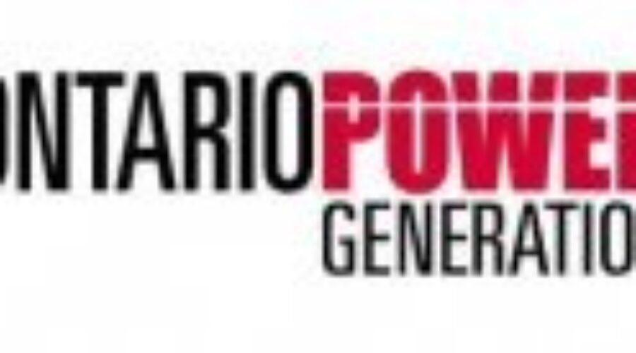 Auditor Targeting OPG