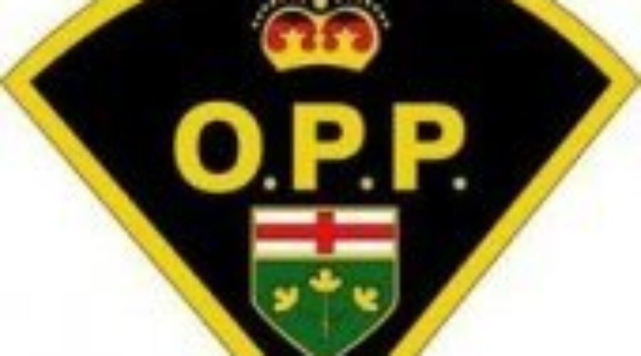 Purse Snatcher In Kenora
